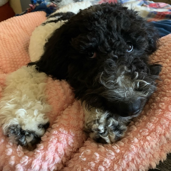 NEW LISTINGS COMING SOON - Picture 7 of 7